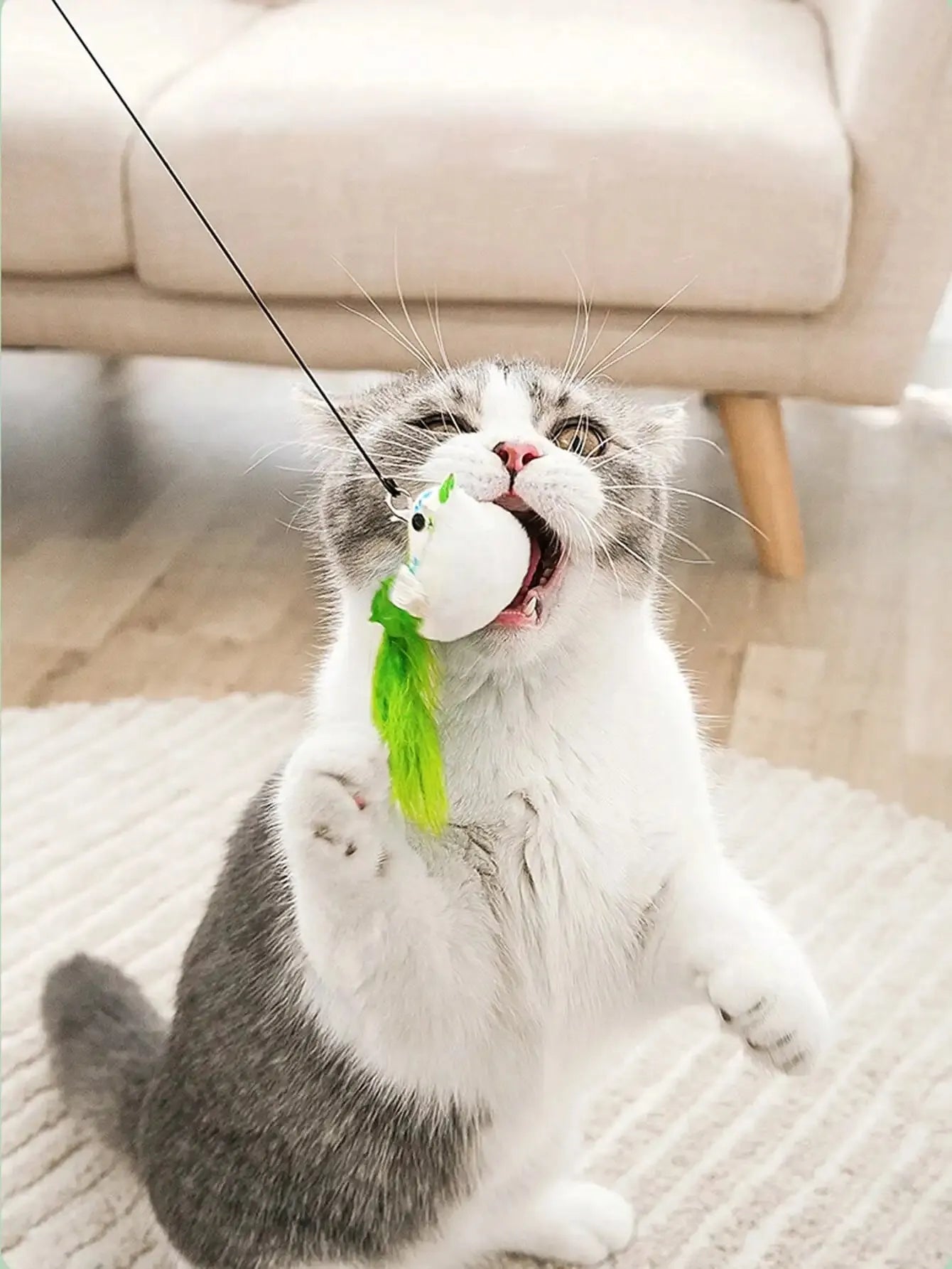 Interactive Cat Toy