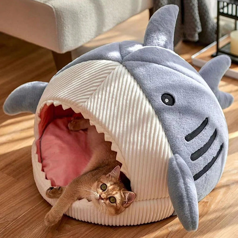 Shark Cat House 