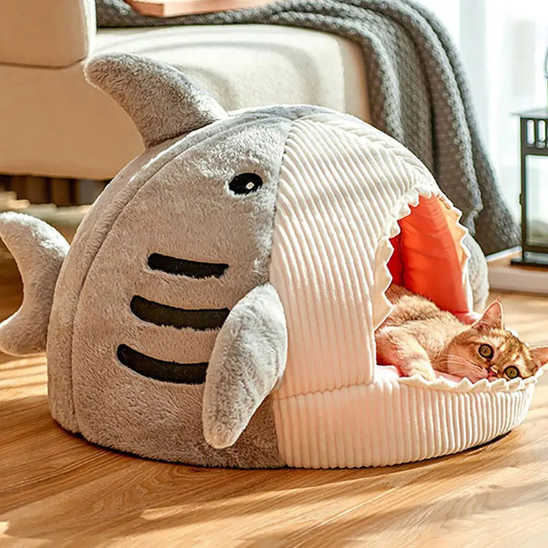 Shark Cat House 