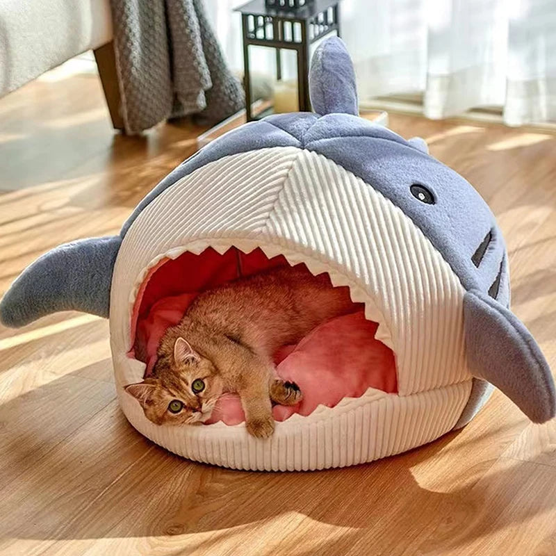 Shark Cat House 