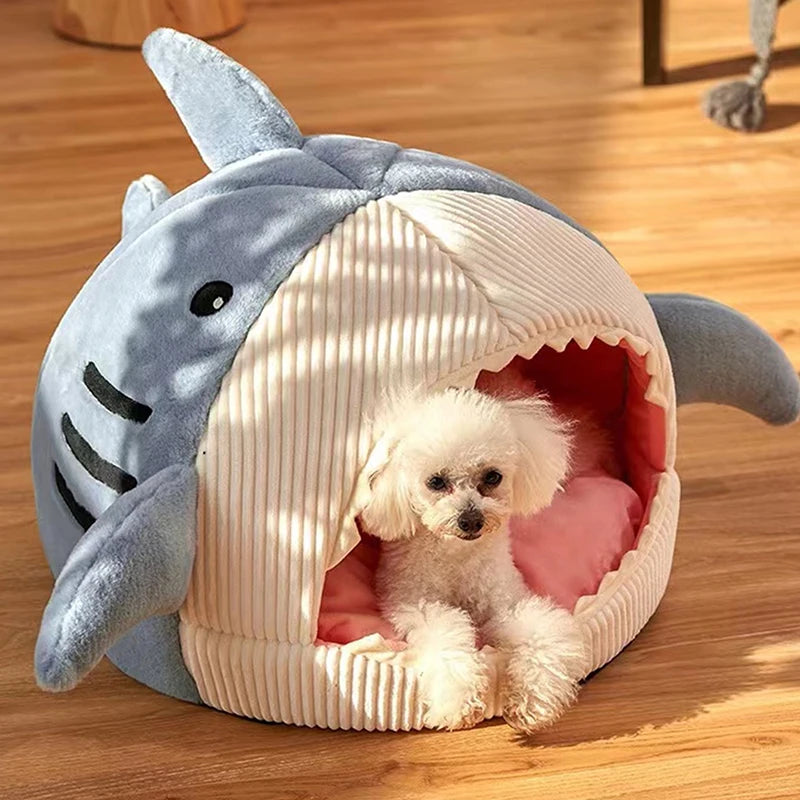 Shark Cat House 