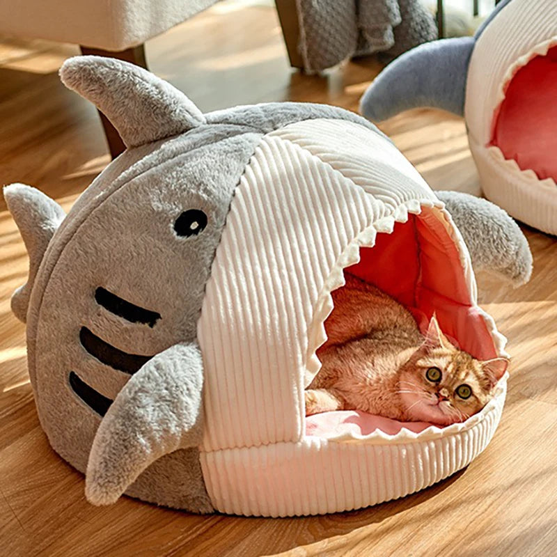 Shark Cat House 