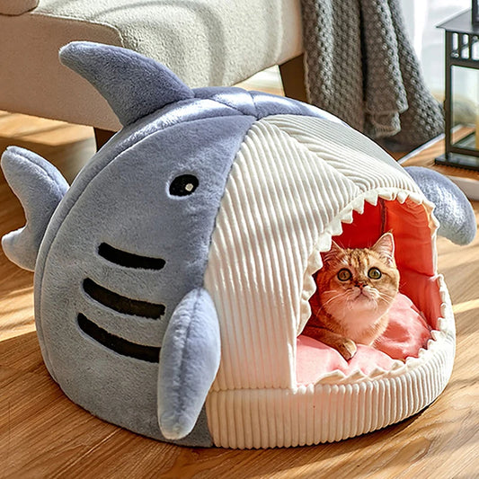 Shark Cat House 